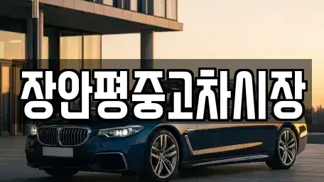 서울 강서구 오곡동 중고차매매 전문 장안평중고차시장