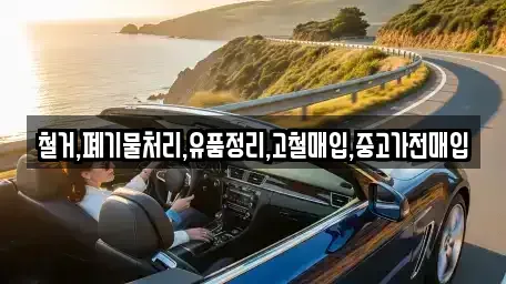 서울 강서구 오곡동 중고차매입 전문 철거,폐기물처리,유품정리,고철매입,중고가전매입