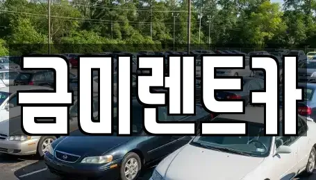 서울 구로구 가리봉동 렌트카 전문 금미렌트카
