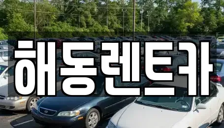 서울 구로구 가리봉동 렌트카 전문 해동렌트카