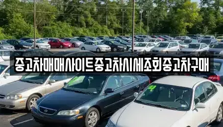 서울 구로구 가리봉동 중고차매매 전문 중고차매매사이트중고차시세조회중고차구매