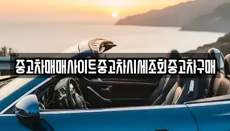 서울 금천구 중고차매매 전문 중고차매매사이트중고차시세조회중고차구매