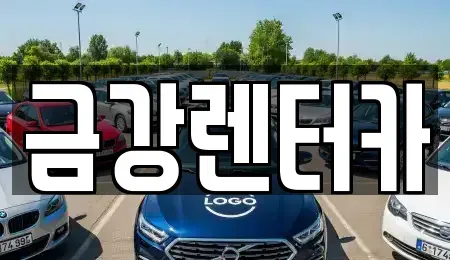 서울 동대문구 제기동 렌트카 전문 금강렌터카