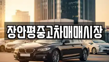 서울 동대문구 제기동 중고차 전문 장안평중고차매매시장