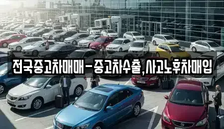 서울 동대문구 제기동 중고차 전문 전국중고차매매-중고차수출,사고노후차매입