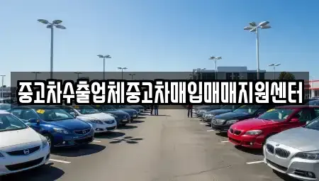 서울 동대문구 제기동 중고차 전문 중고차수출업체중고차매입매매지원센터