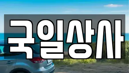 서울 동대문구 중고차 전문 국일상사