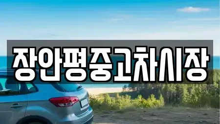 서울 동대문구 중고차 전문 장안평중고차시장