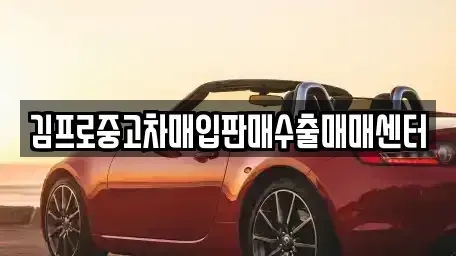 서울 동대문구 중고차매입 전문 김프로중고차매입판매수출매매센터