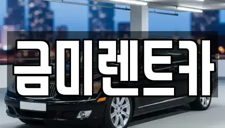 서울 마포구 현석동 렌트카 전문 금미렌트카