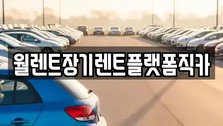 서울 마포구 현석동 장기렌트카 전문 월렌트장기렌트플랫폼직카