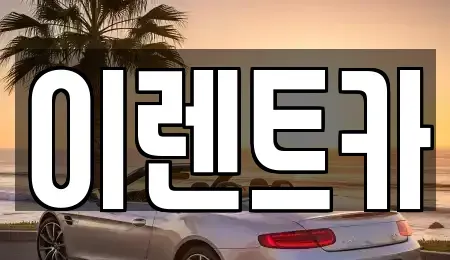 서울 성북구 안암동1가 렌트카 전문 이렌트카