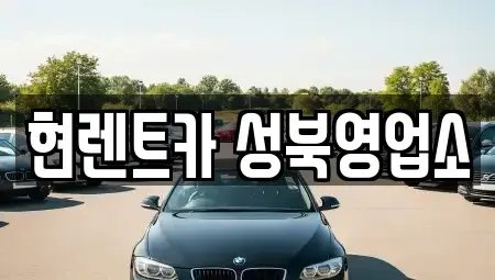 서울 성북구 안암동1가 렌트카 전문 현렌트카 성북영업소