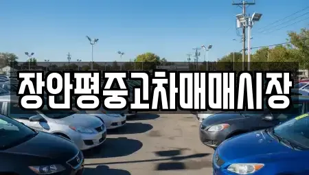 서울 성북구 안암동1가 중고차,렌트카,중고차매입,중고차매매,장기렌트카,단기렌트카