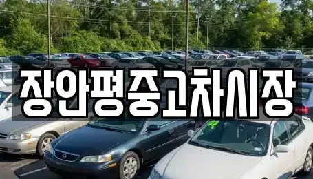 서울 성북구 안암동1가 중고차 전문 장안평중고차시장