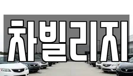 서울 송파구 방이동 장기렌트카 전문 차빌리지