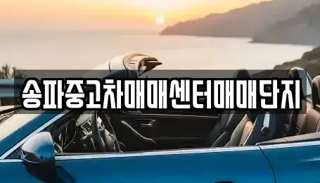 서울 송파구 방이동 중고차 전문 송파중고차매매센터매매단지