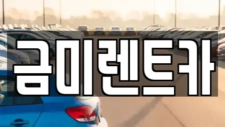 서울 영등포구 양평동1가 렌트카 전문 금미렌트카