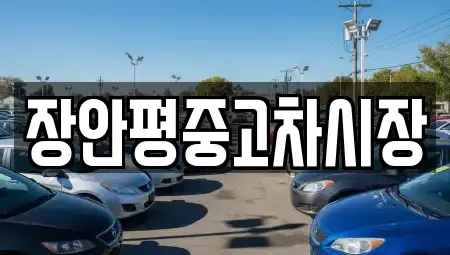 서울 용산구 산천동 중고차매매 전문 장안평중고차시장