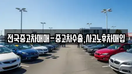 서울 용산구 산천동 중고차매매 전문 전국중고차매매-중고차수출,사고노후차매입