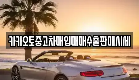 서울 용산구 산천동 중고차매입 전문 카카오토중고차매입매매수출판매시세