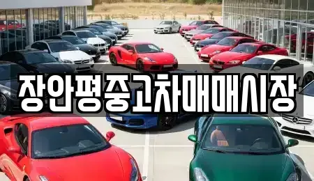 서울 용산구 이태원동 중고차 전문 장안평중고차매매시장