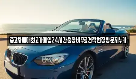 서울 용산구 이태원동 중고차매매 전문 중고차매매최고가매입24시간출장비무료견적현장방문지누카