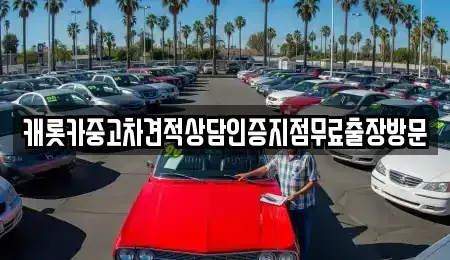 서울 용산구 이태원동 중고차매매 전문 캐롯카중고차견적상담인증지점무료출장방문