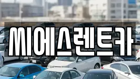 서울 용산구 한남동 렌트카 전문 씨에스렌트카