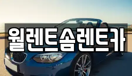 서울 용산구 한남동 렌트카 전문 월렌트솜렌트카
