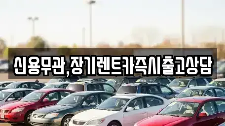 서울 용산구 한남동 장기렌트카 전문 신용무관,장기렌트카즉시출고상담