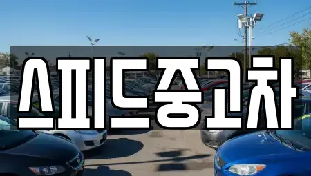 서울 은평구 응암동 중고차 전문 스피드중고차
