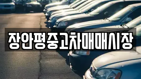 서울 은평구 응암동 중고차 전문 장안평중고차매매시장