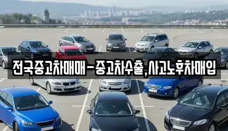서울 은평구 응암동 중고차 전문 전국중고차매매-중고차수출,사고노후차매입