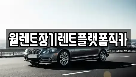 서울 은평구 장기렌트카 전문 월렌트장기렌트플랫폼직카