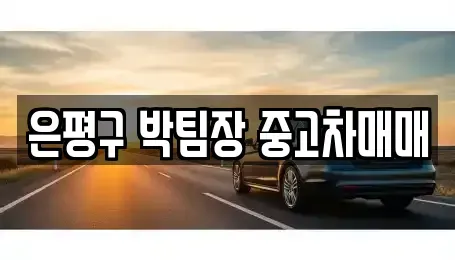 서울 은평구 중고차 전문 은평구 박팀장 중고차매매