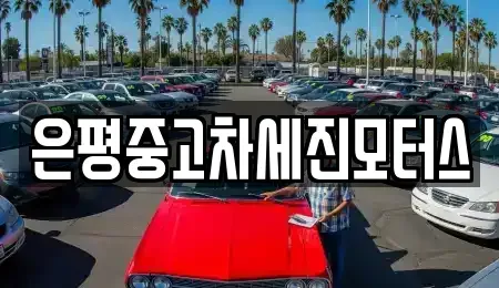 서울 은평구 중고차 전문 은평중고차세진모터스