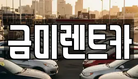 서울 종로구 교남동 렌트카 전문 금미렌트카