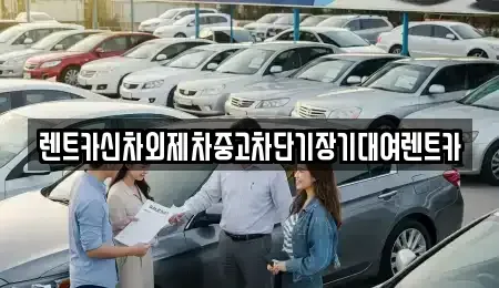 서울 종로구 교남동 장기렌트카 전문 렌트카신차외제차중고차단기장기대여렌트카