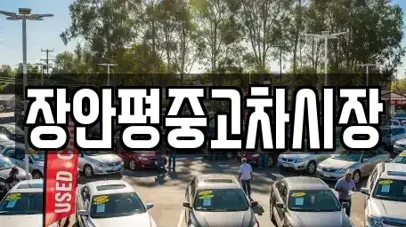 서울 중구 남대문로2가 중고차 전문 장안평중고차시장