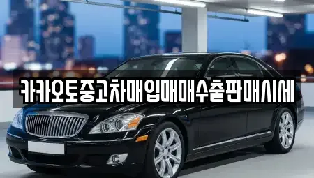 서울 중구 남대문로2가 중고차매입 전문 카카오토중고차매입매매수출판매시세