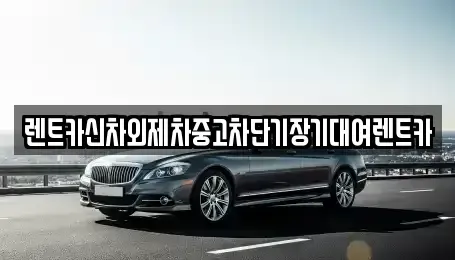 서울 중구 명동1가 렌트카 전문 렌트카신차외제차중고차단기장기대여렌트카