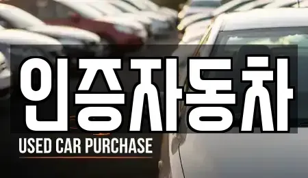 서울 중구 명동1가 중고차 전문 인증자동차