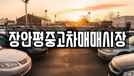 서울 중구 명동1가 중고차 전문 장안평중고차매매시장