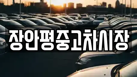 서울 중구 명동1가 중고차 전문 장안평중고차시장