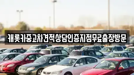 서울 중구 명동1가 중고차 전문 캐롯카중고차견적상담인증지점무료출장방문