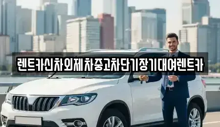서울 중구 서소문동 렌트카 전문 렌트카신차외제차중고차단기장기대여렌트카