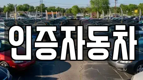 서울 중구 서소문동 중고차 전문 인증자동차