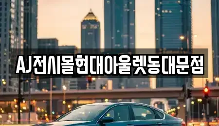 서울 중구 을지로5가 렌트카 전문 AJ전시몰현대아울렛동대문점