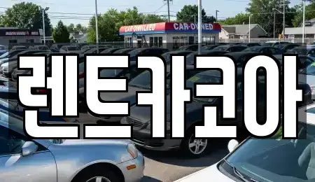서울 중구 을지로5가 렌트카 전문 렌트카코아